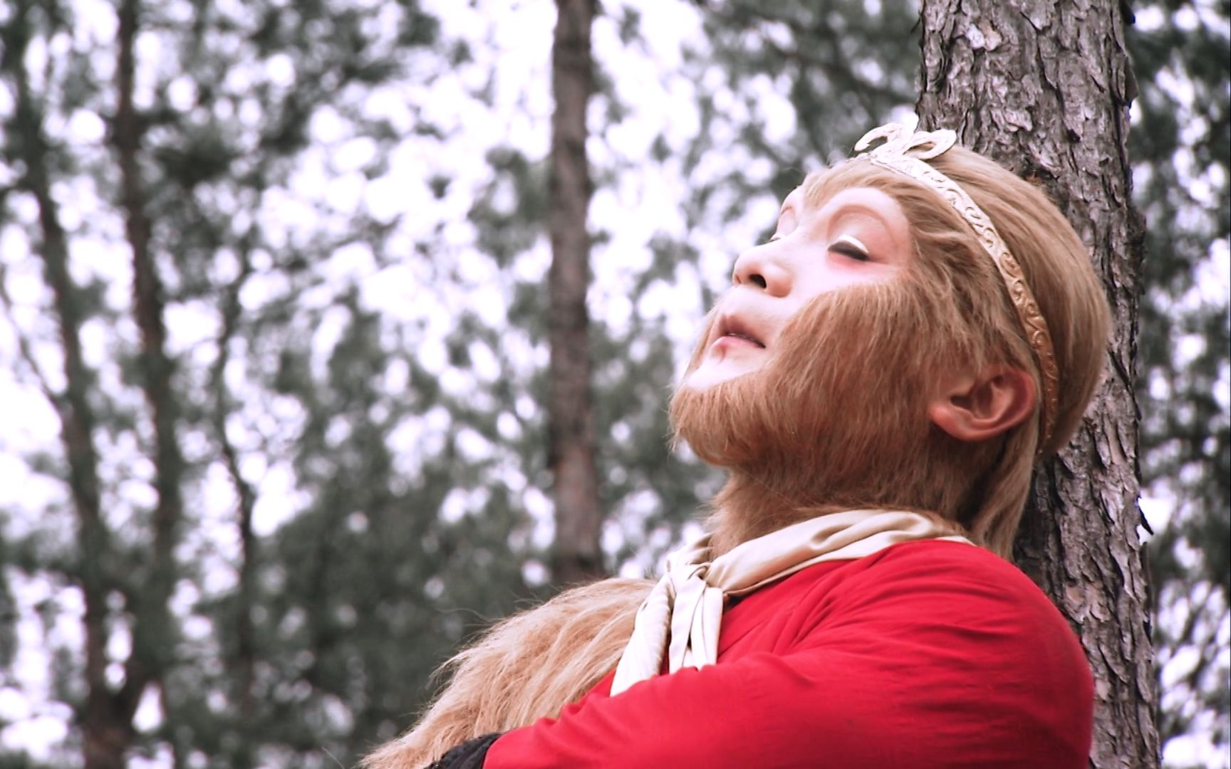 "再 也 不 是 当 年 那 个 小 石 猴 了"| 浙版西游记