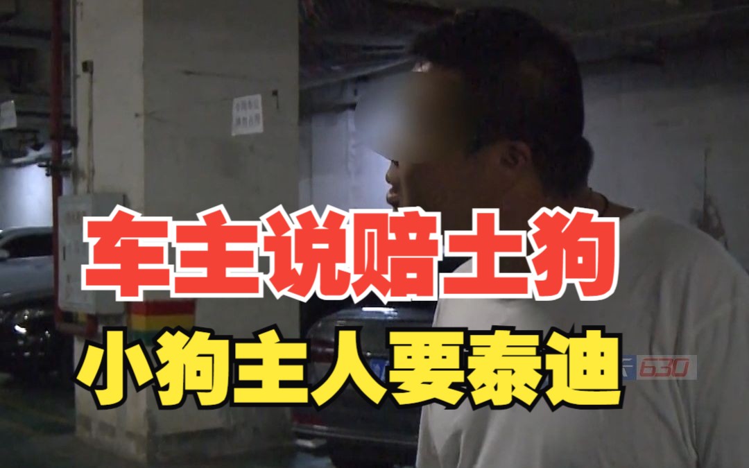 小狗没栓绳在车库被碾压,车主有责任赔偿吗?哔哩哔哩bilibili