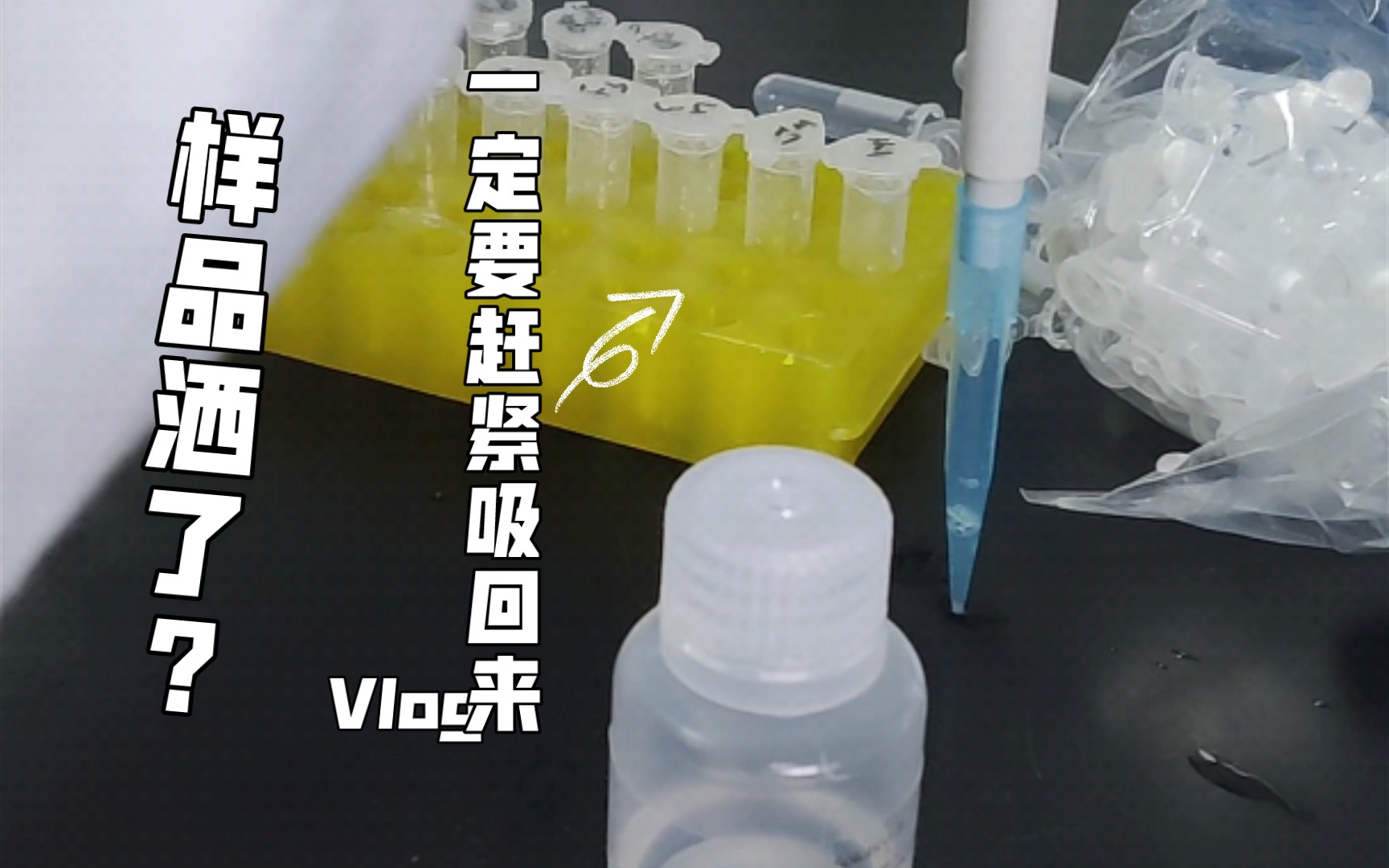 [图]【分子生物学】规规矩矩提个质粒！