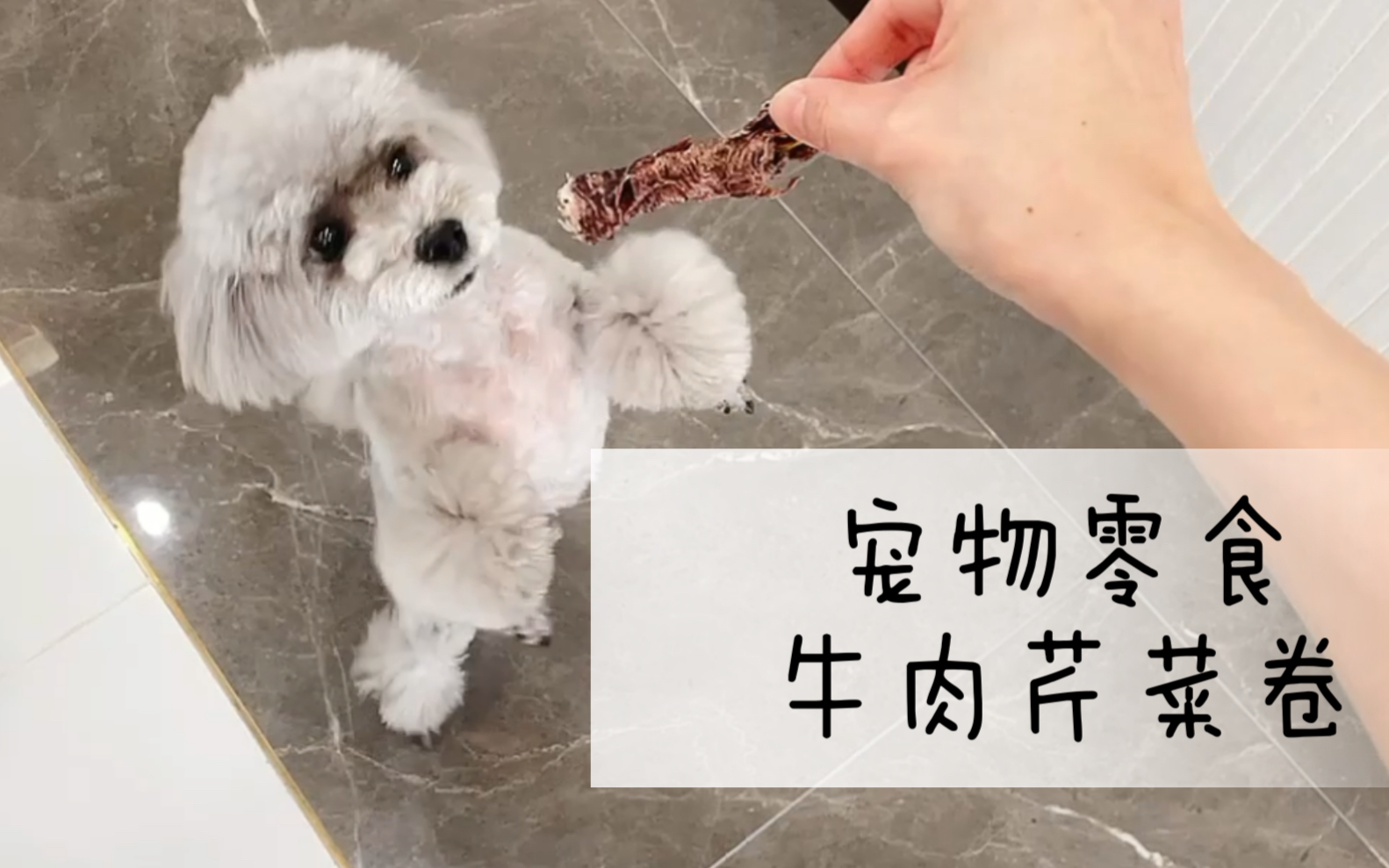 宠物零食 牛肉芹菜卷