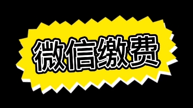 如何微信缴费哔哩哔哩bilibili