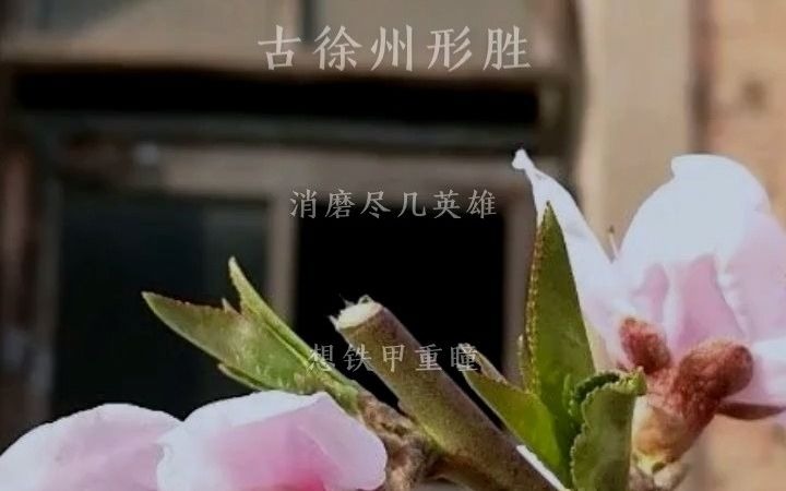 [图]孙正光-凯歌嘹亮在全民K歌上翻唱的《一饮尽千钟》，我能单曲循环一整天！