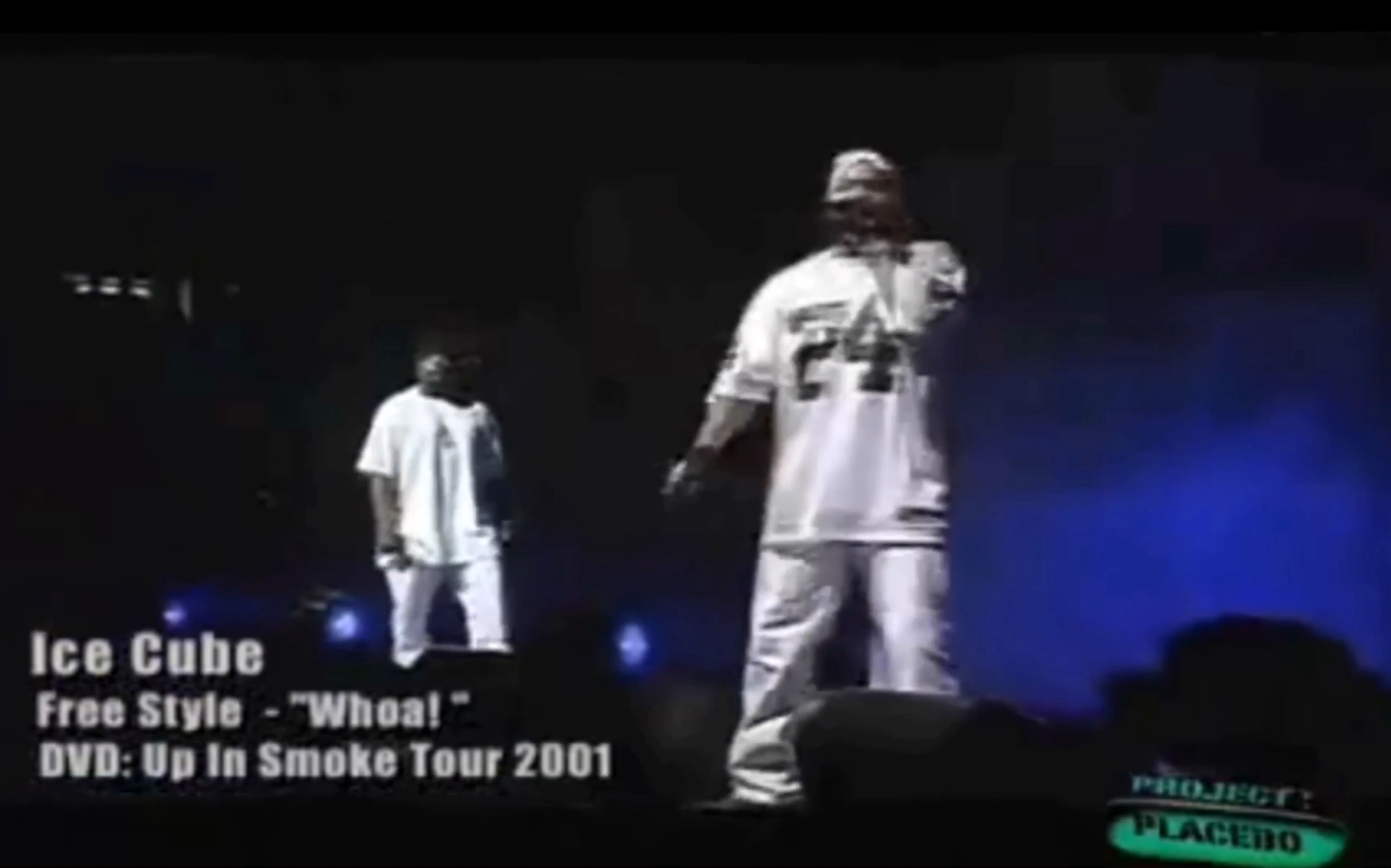 [图]纯正西海岸！Ice Cube &W.C. C-Walk Up In Smoke Tour 2001