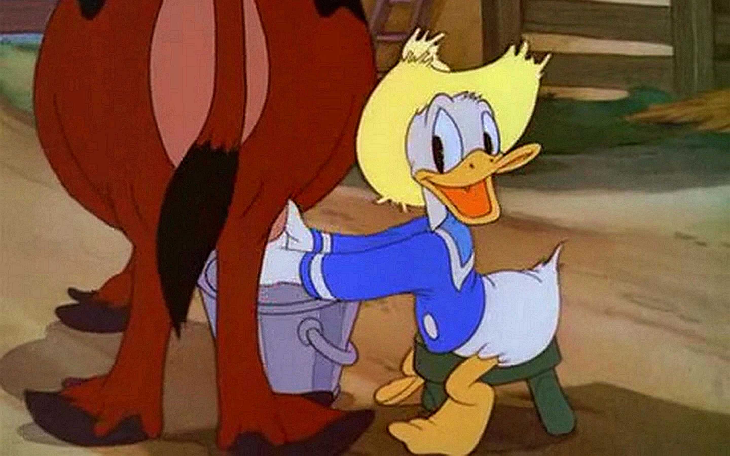 [图]【史高治的农场】Old Mac Donald Duck 1941 唐老鸭编年史