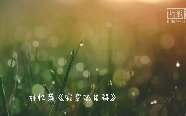 [图]【耳机当福利】林忆莲经典粤语歌《寂寞流星群》无损音质