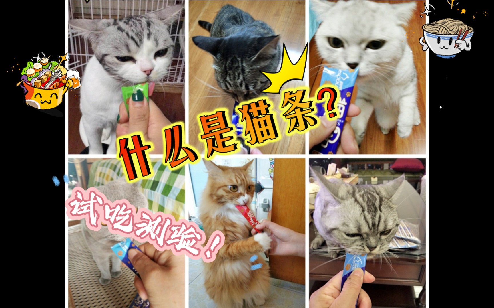 什么是猫条?猫条会吃上瘾吗?/投喂猫粮,猫条,看猫猫有什么反应?哔哩哔哩bilibili