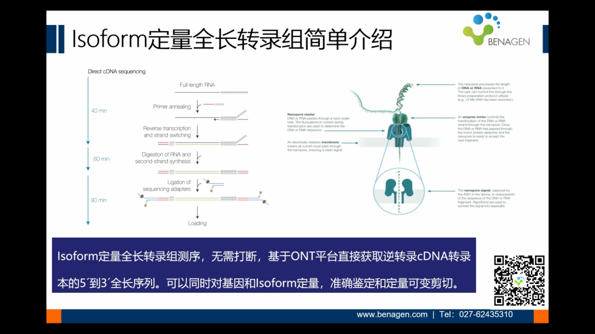 Isoform定量全长转录组哔哩哔哩bilibili