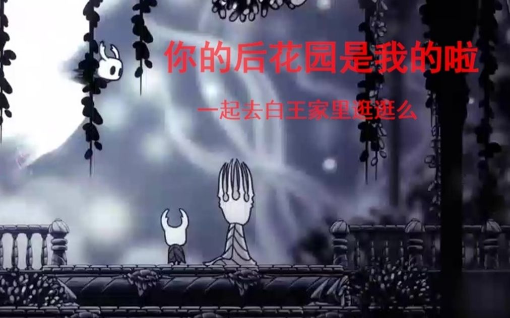 [图]萌新手残党也能过的苦痛之路！要一起逛逛白王的后花园吗？Hollow Knight