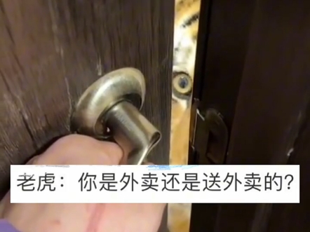 委托人过年期间让网友上门喂“小猫”,网友打开门那一瞬间呆住了...虎虎:主人点的外卖这么快上门了?哔哩哔哩bilibili