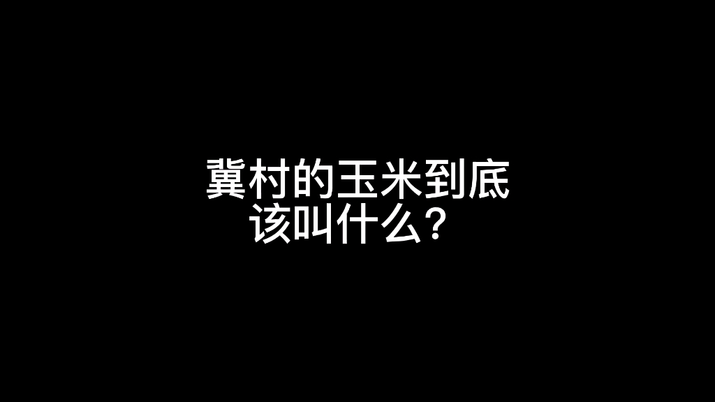 冀村故事会,河北的玉米到底该叫什么名字?散装的河北为何没有统一叫法?哔哩哔哩bilibili