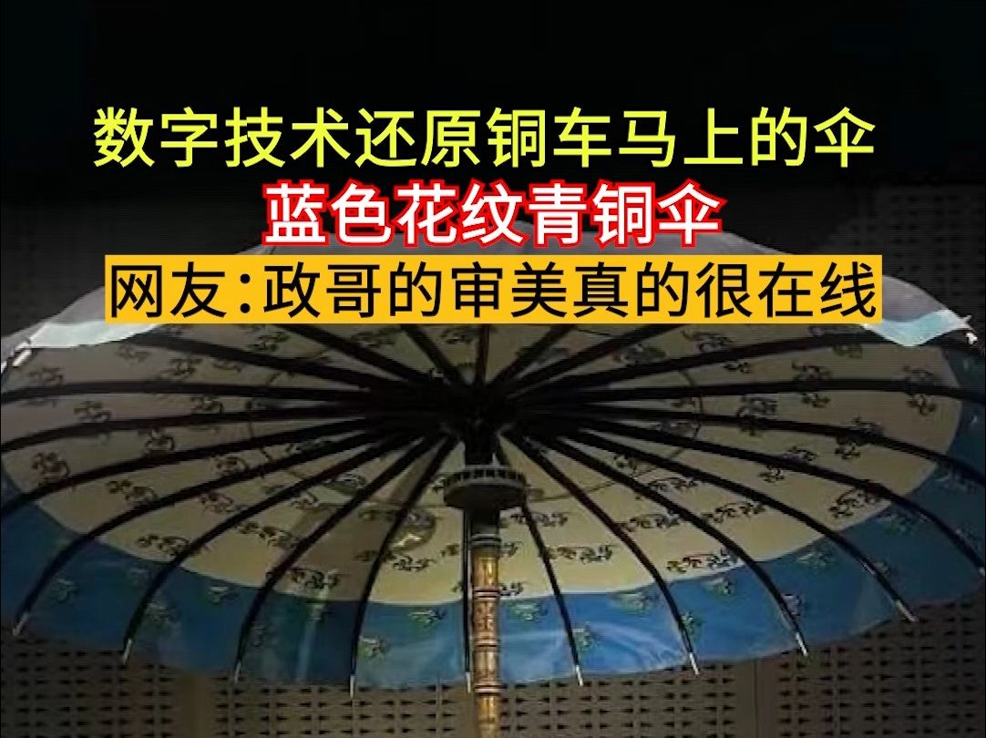 令人着迷的蓝色,原来蓝色的伞也能这么高贵!哔哩哔哩bilibili