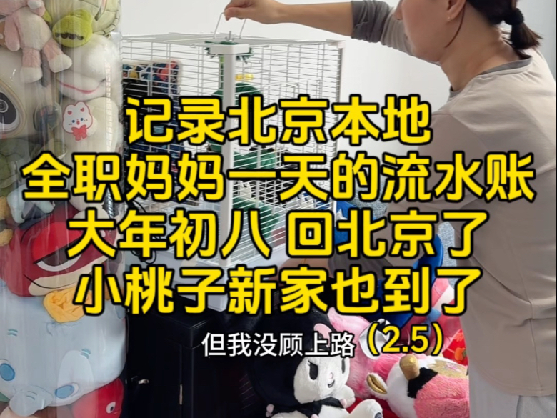 记录北京本地全职妈妈一天的流水账,大年初八 回北京了 小桃子新家也到了哔哩哔哩bilibili