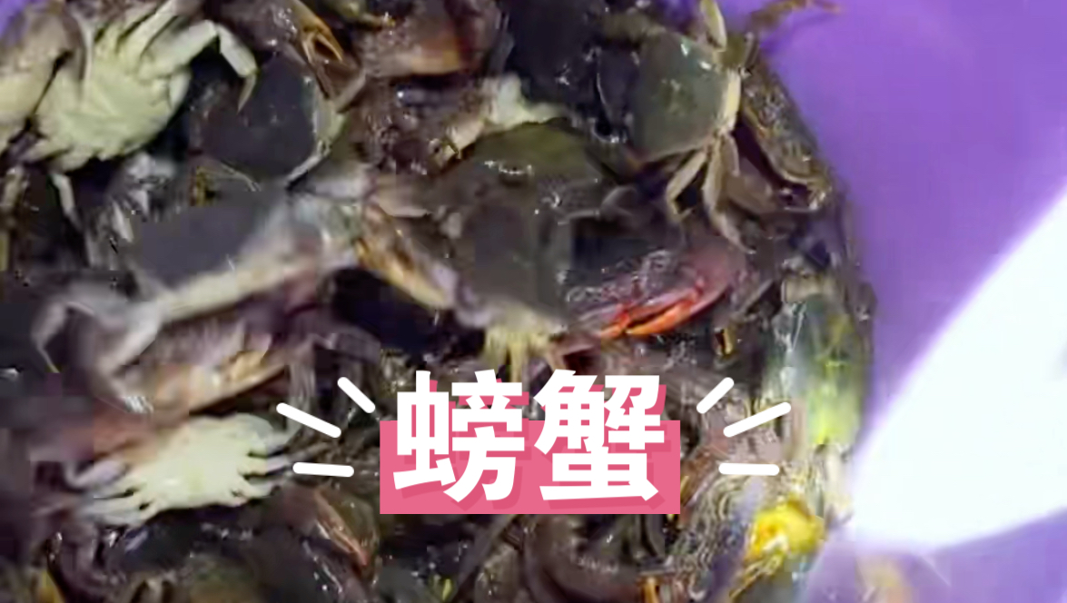 小溪的野螃蟹太多了,抓不完根本抓不完?