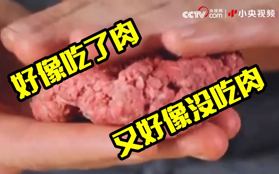 植物肉里的“植物”是指啥?哔哩哔哩bilibili