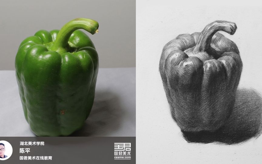 「国君美术」素描静物_单体_胖青椒_陈平_2017