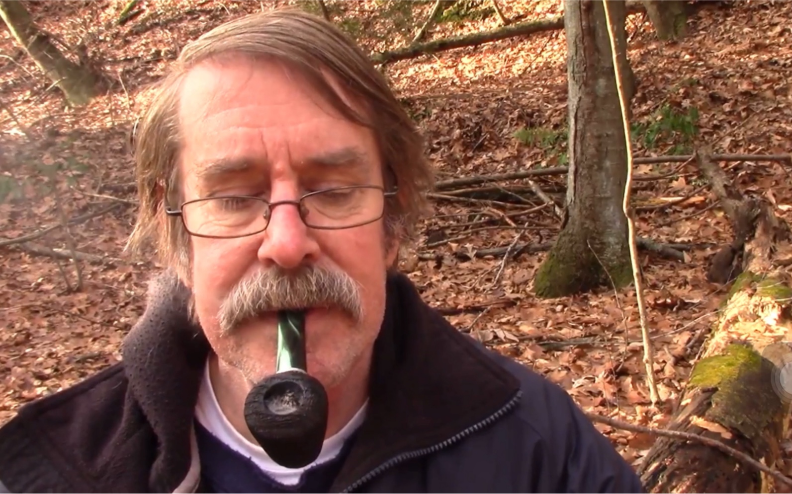 斗草测评:samuel gawith squadron leader