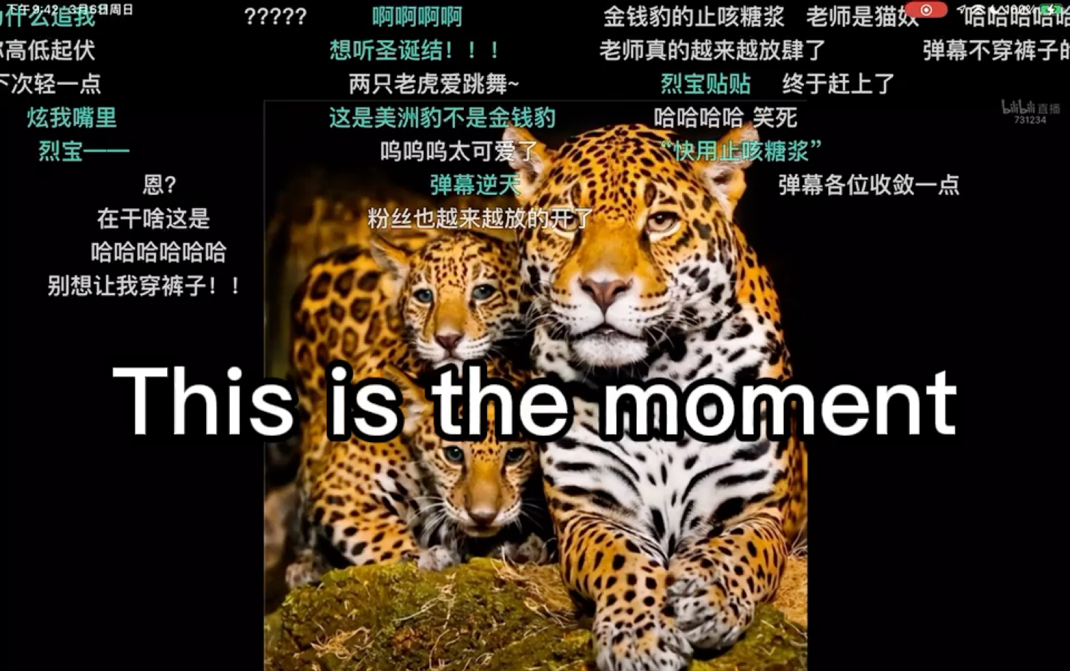 [图]【刘照坤】3.6唱歌《This is the moment》