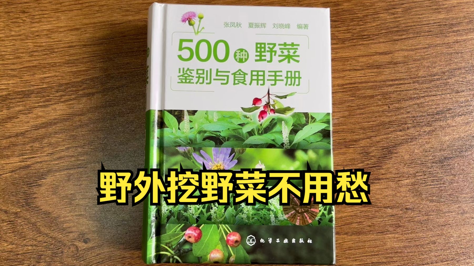 [图]野外挖野菜不再愁，500种野菜鉴别与食用手册