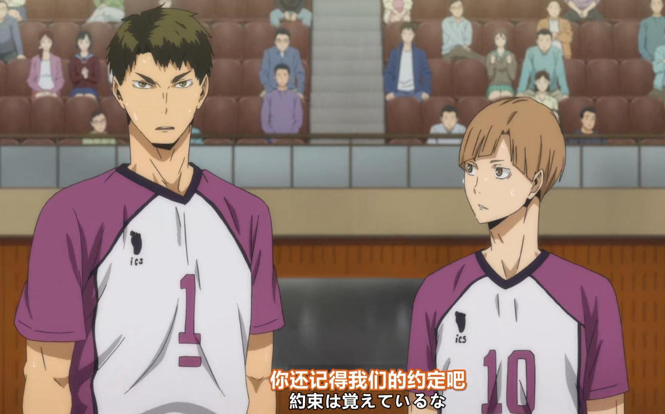 【排球少年|牛白】牛岛白布互动cut