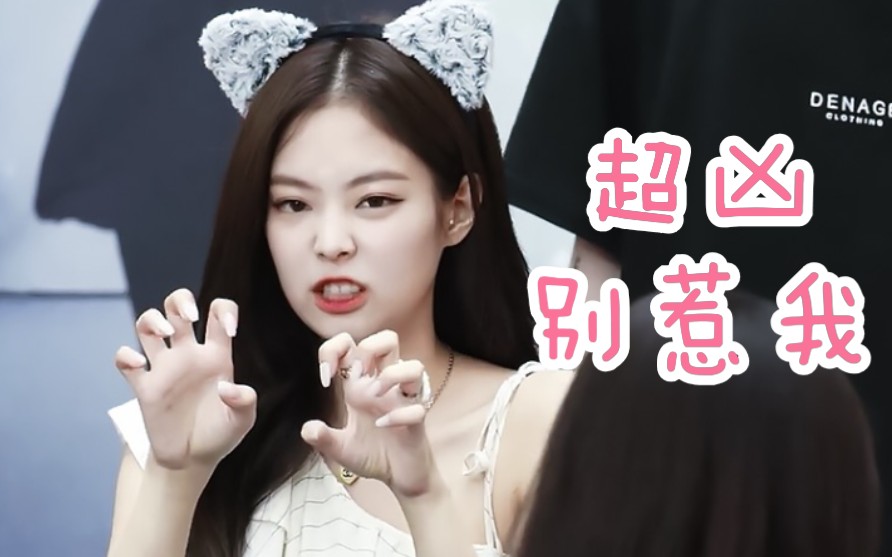 【BLACKPINK】推特万转!张牙舞爪超凶的小猫妮Jennie哔哩哔哩bilibili