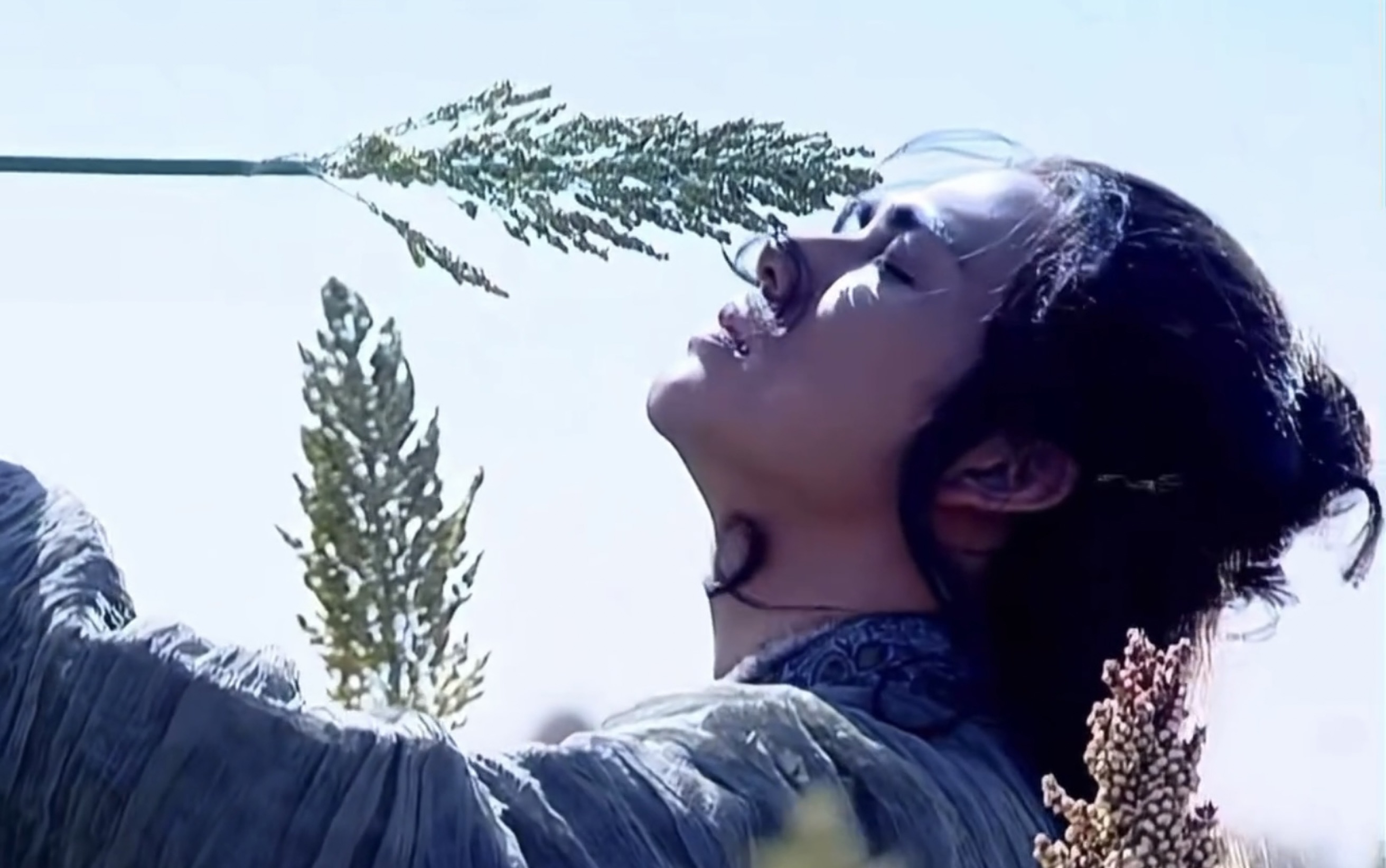 每一帧都有效出演老婆口中的"年轻英俊""气度不凡"【逆水寒|顾惜朝】