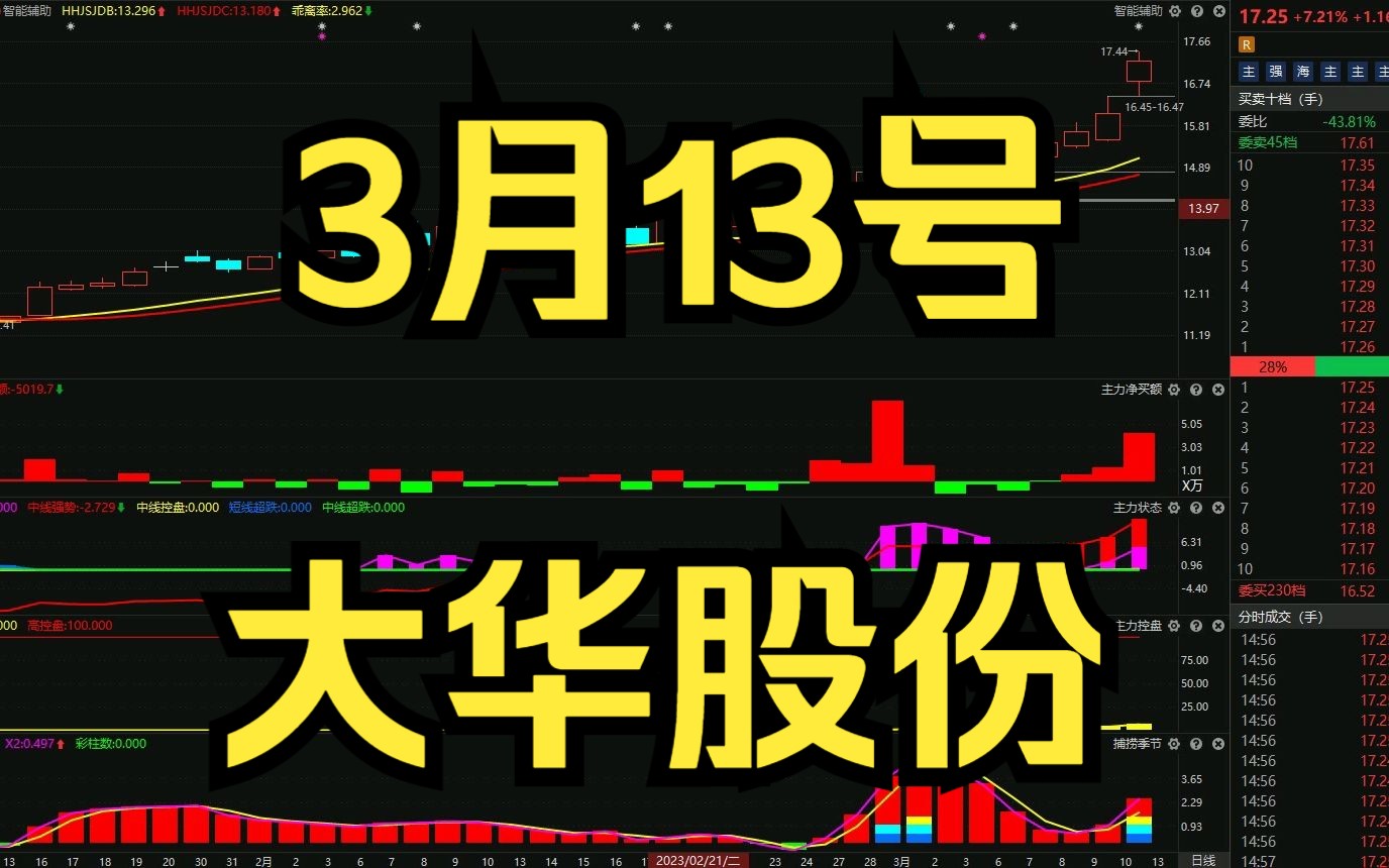 3月13号大华股份:主力资金最新分析,如何判断低吸高抛呢?哔哩哔哩bilibili