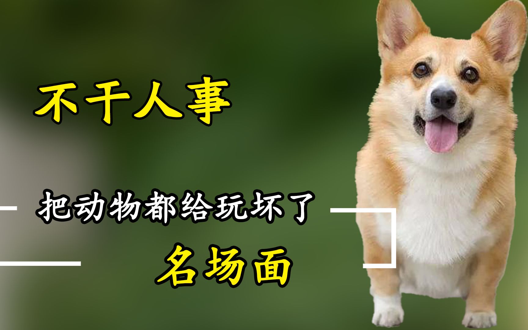 那些不干人事的老六,它们不是真的人,但这些老六是真的狗