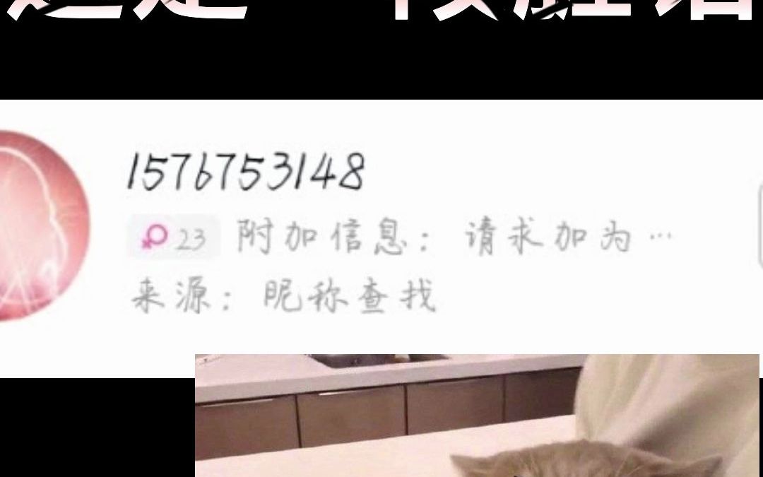 不知道为什么QQ总是有很多人加……麻了哔哩哔哩bilibili