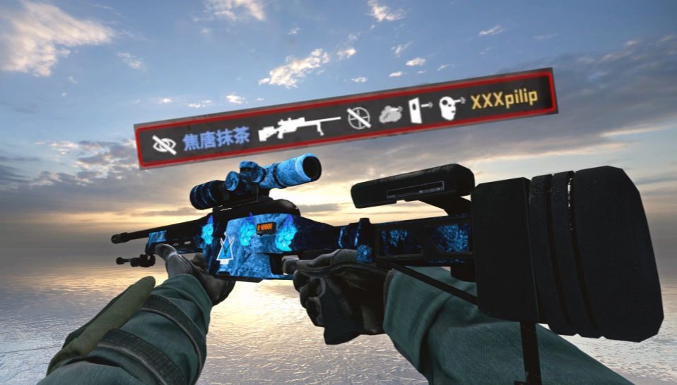 让我再好好看你一眼,我的鸟狙,我的csgo