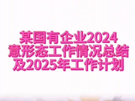 某国有企业2024意形态工作情况总结及2025年工作计划哔哩哔哩bilibili