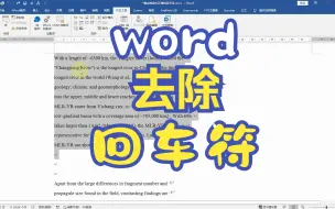 Download Video: word一键去除选定区域的回车符