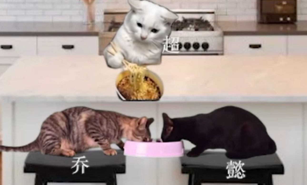 [图]【猫memes】司马懿捡孩子的那些年