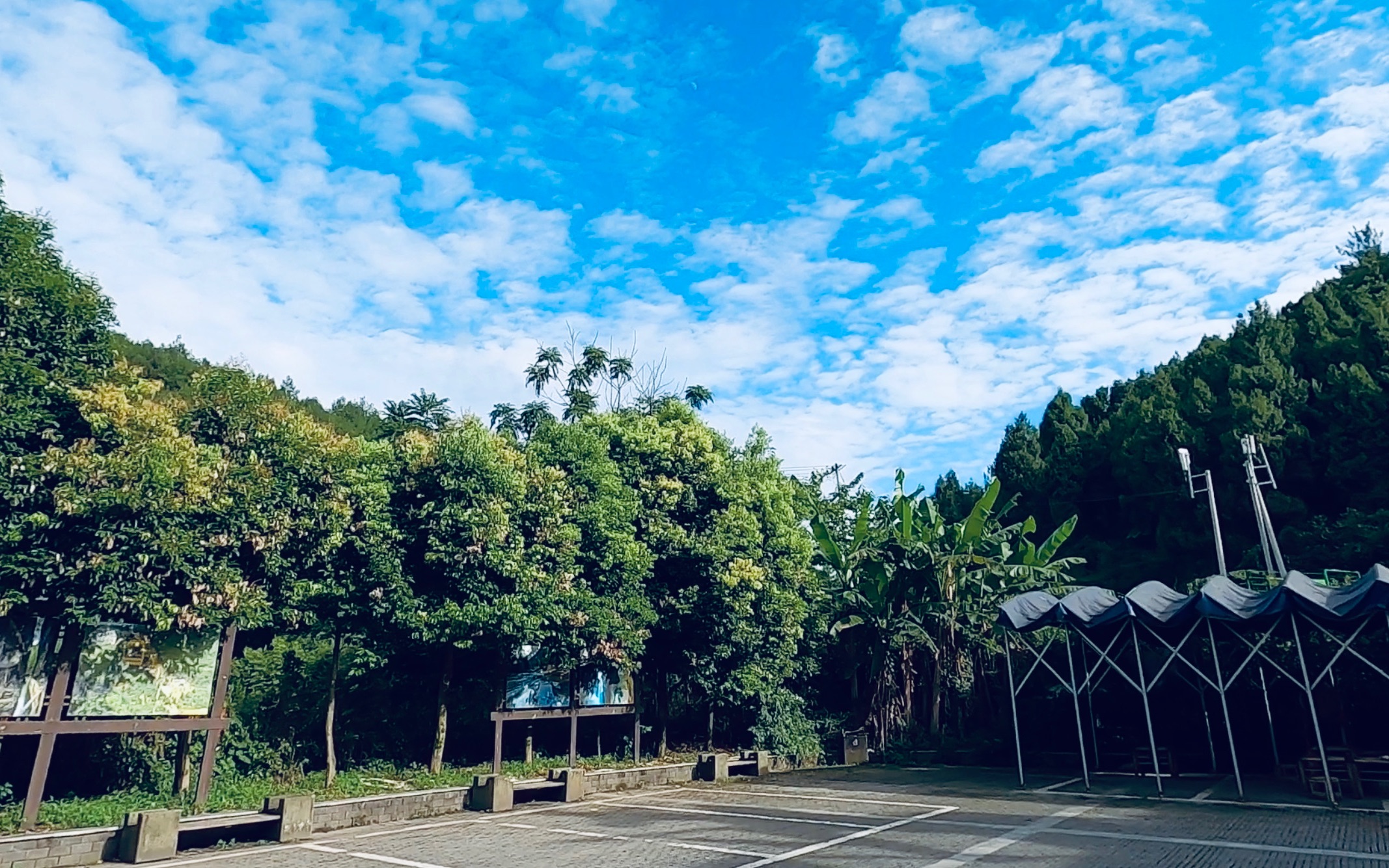 活动 自驾游重庆北碚,到达金刀峡山顶索道站沿途美景