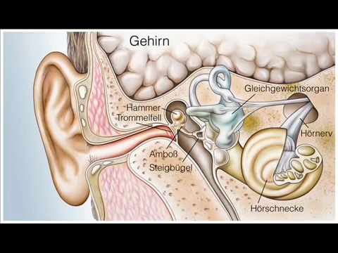 5分钟治愈耳鸣 最强大的耳鸣声疗双耳节拍音频治疗哔哩哔哩bilibili