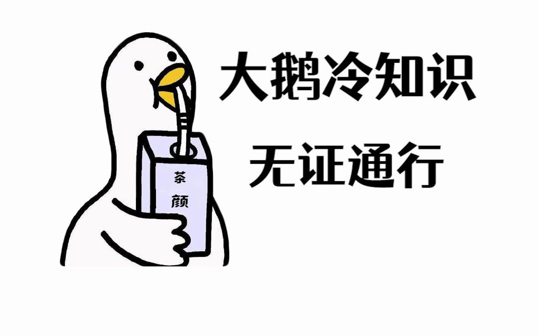 出门坐高铁、飞机忘带身份证怎么办?立即打开手机,一分钟就能搞定临时身份证!哔哩哔哩bilibili