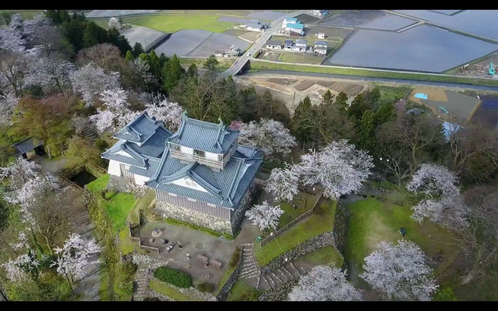 「大野城」桜_哔哩哔哩 (゜-゜)つロ 干杯~-bilibili