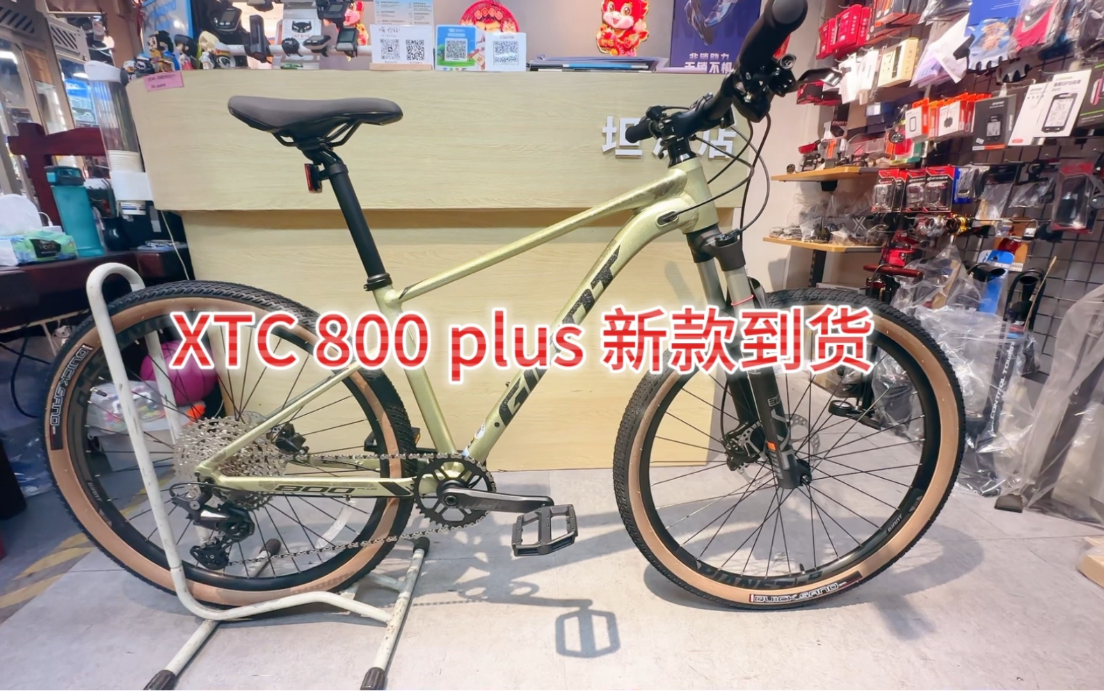 捷安特坦洲店 #捷安特丽以芙幸福天地旗舰店 #捷安特