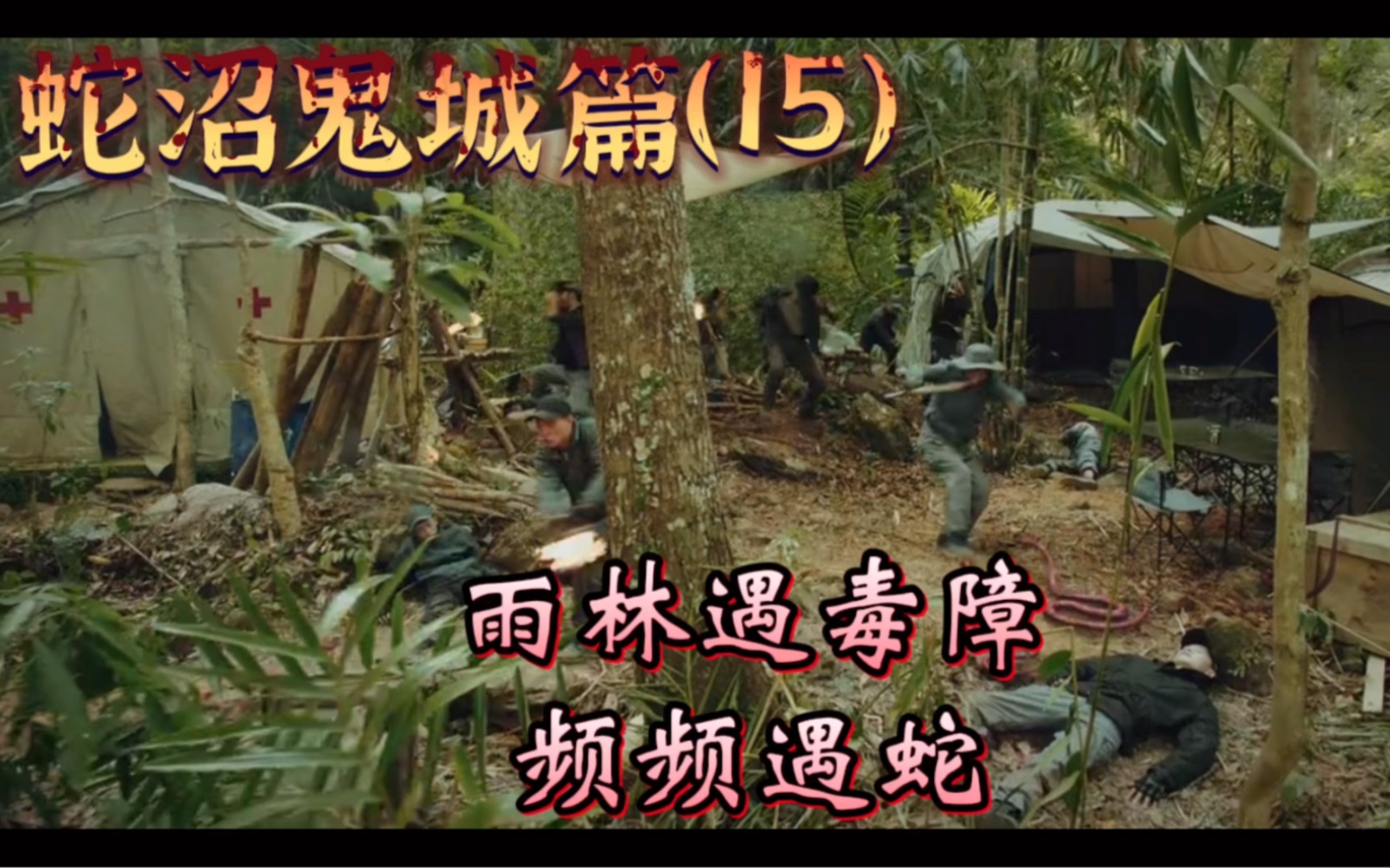 盗笔之终极笔记蛇沼鬼城篇雨林遇毒瘴野鸡脖子