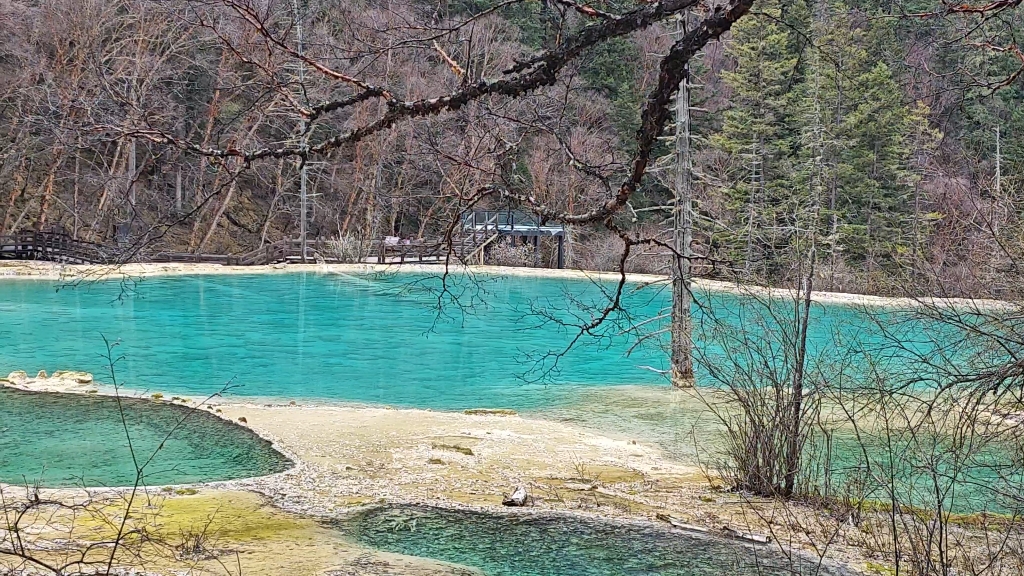 九寨沟 神仙池景区 淡季半日游哔哩哔哩bilibili