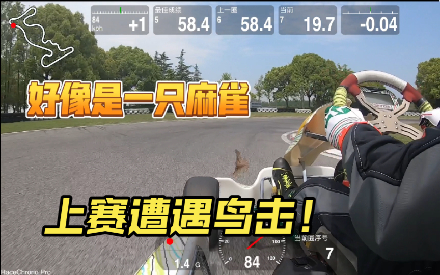 上赛遭遇鸟击!哔哩哔哩bilibili