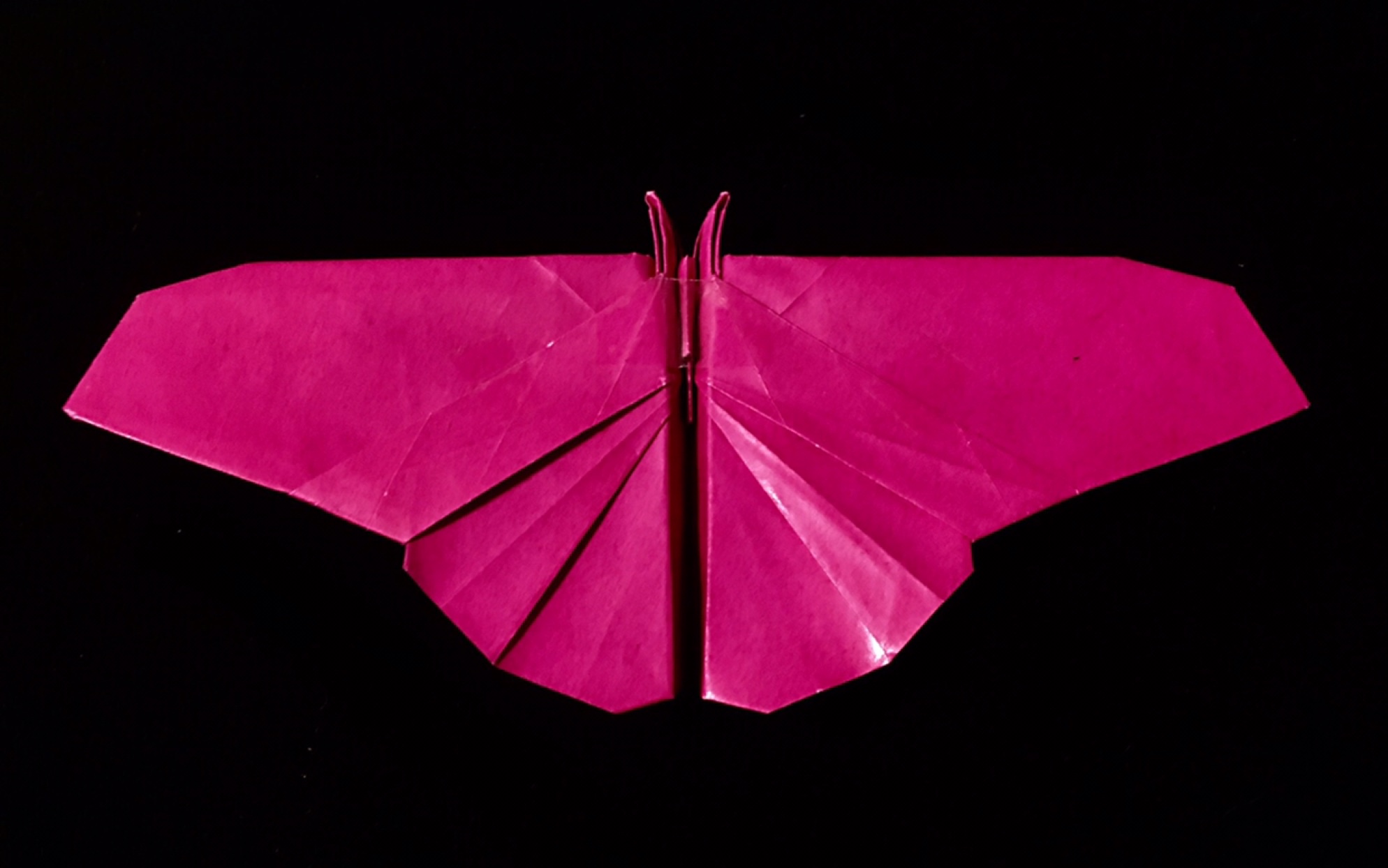 【纸飞机】天蚕蛾仿生机视频教程