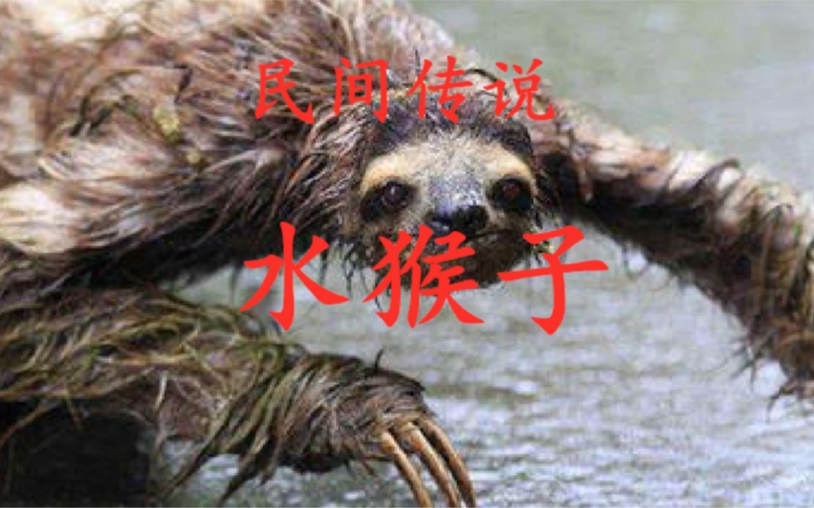 民间传说水猴子