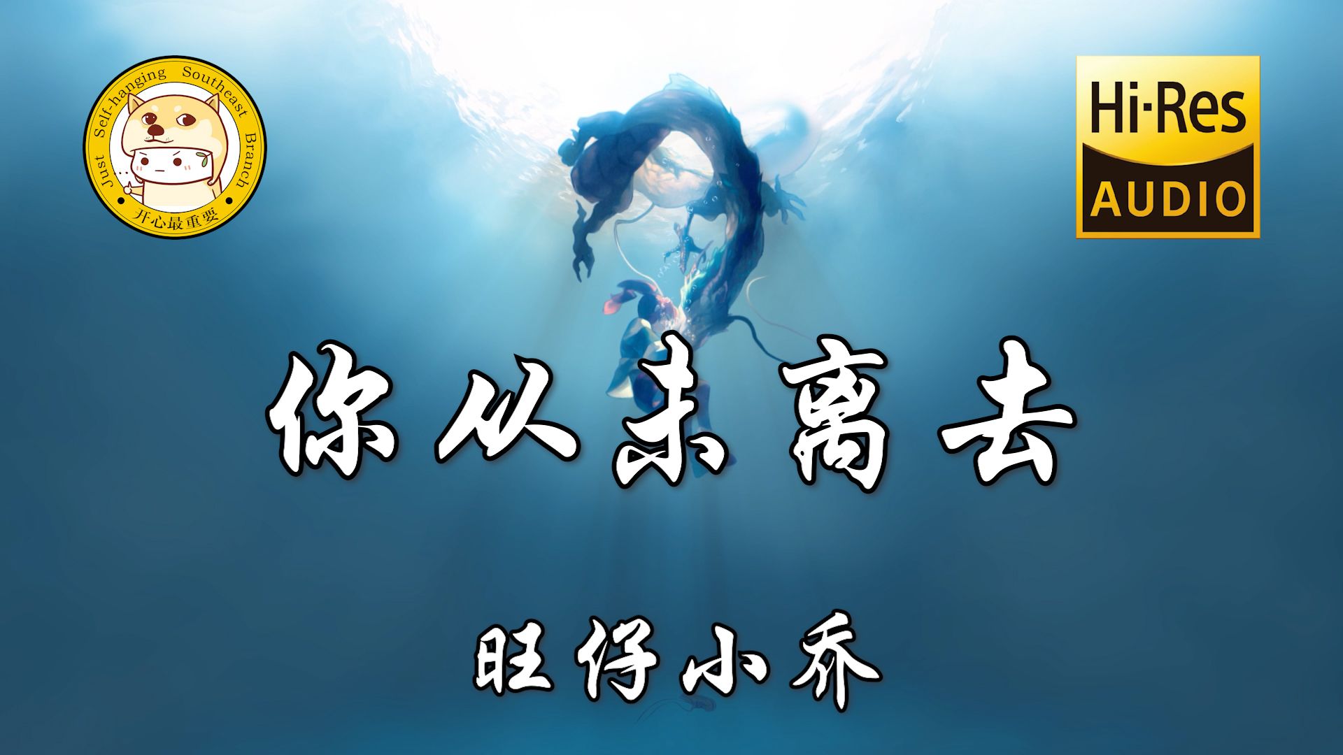 【HiRes无损】旺仔小乔你从未离去「我不再迷茫 思念是唯一的行囊」动态歌词哔哩哔哩bilibili