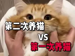 Download Video: 第二次养猫和第一次养猫有什么区别？