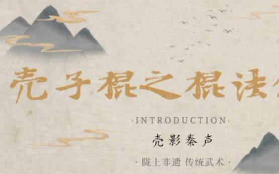 壳影秦声秦安壳子棍之棍法介绍