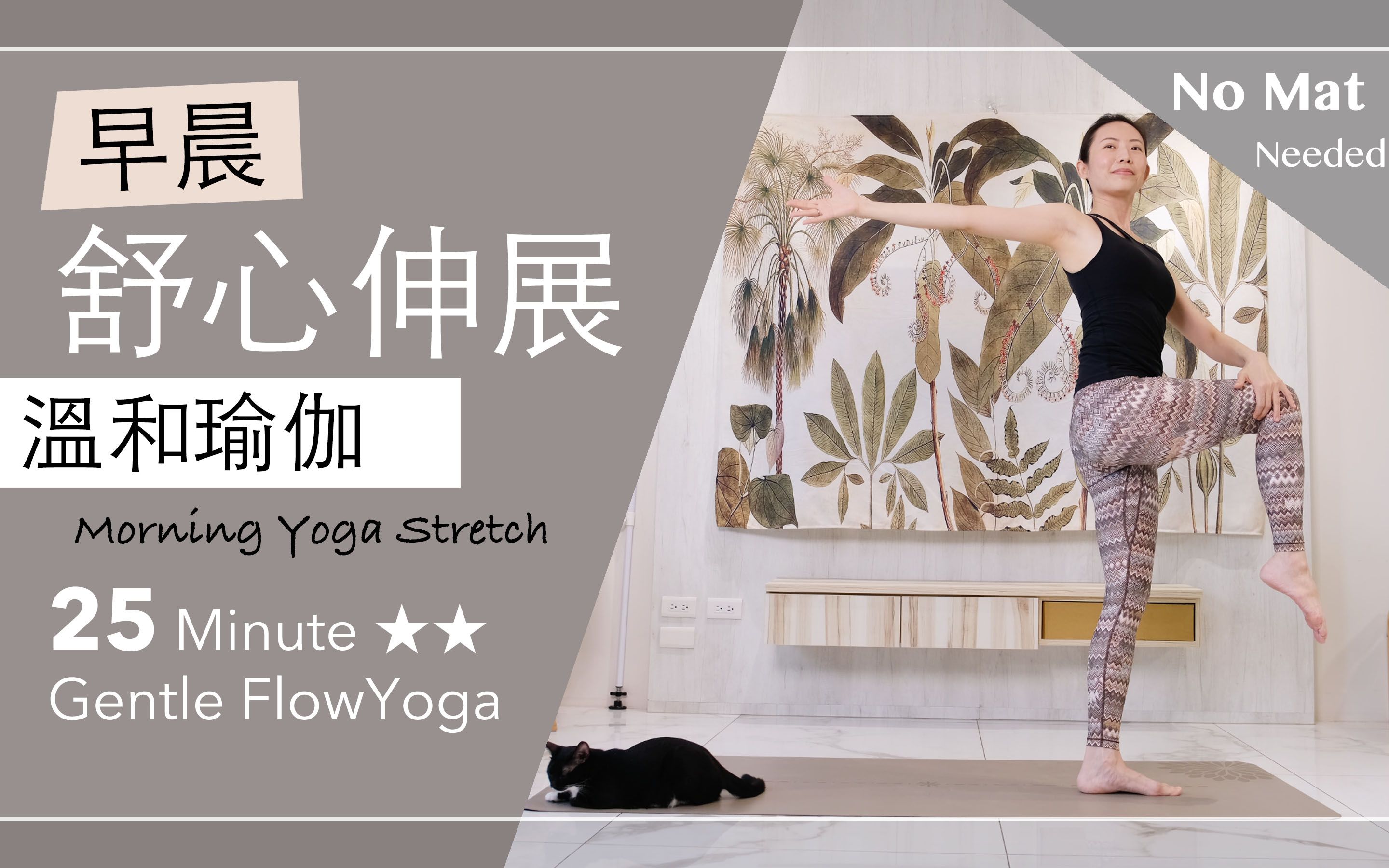 晨起瑜伽 | 舒心伸展【温和瑜伽】25分钟 Gentle Flow Yoga ★ ★ #stretches #morningyoga #早晨瑜伽 #站着做瑜伽哔哩哔哩bilibili