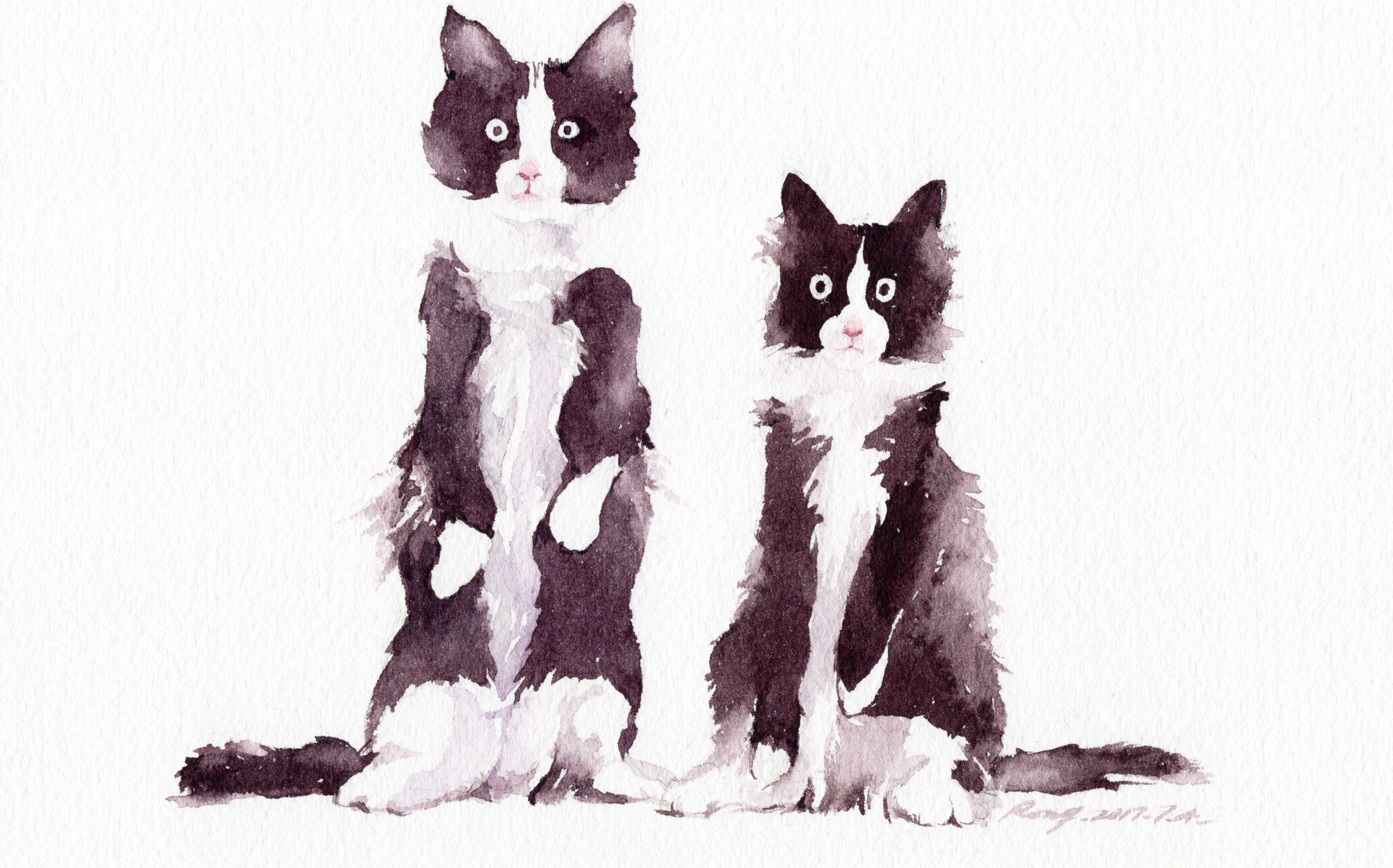 水彩过程——两只猫【rong分享绘】