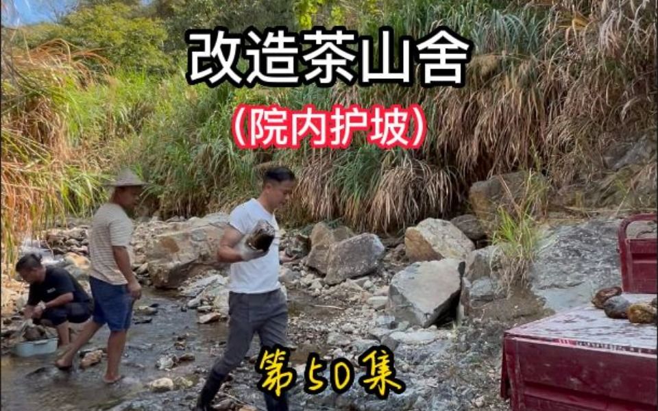 改造茶山舍 第50集(院内护坡)哔哩哔哩bilibili