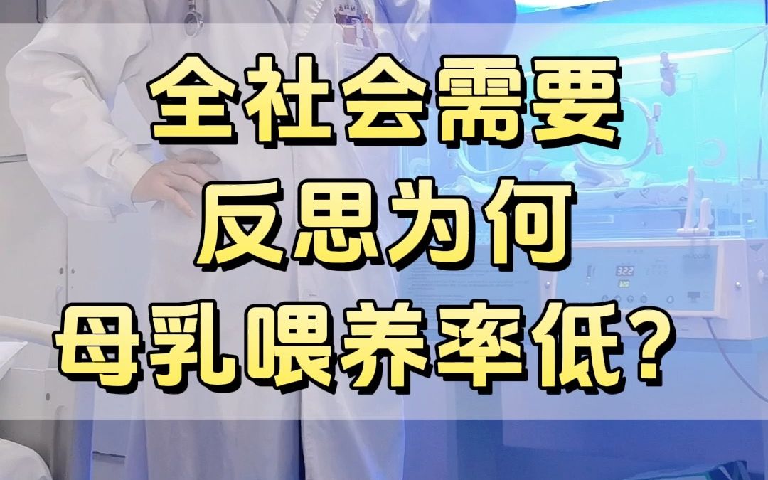 全社会需要反思为何母乳喂养率低?哔哩哔哩bilibili