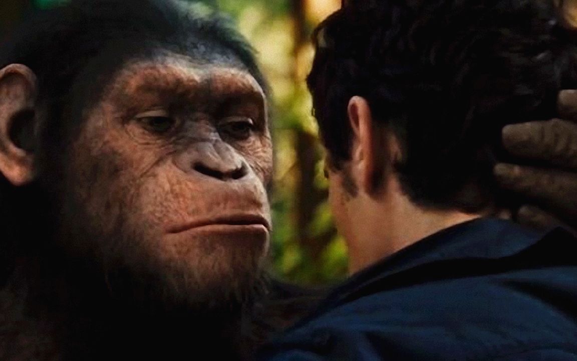 猩猩在耳边说话表情包图片
